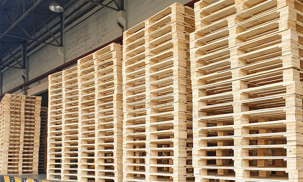 Pallets lined up in warehouse