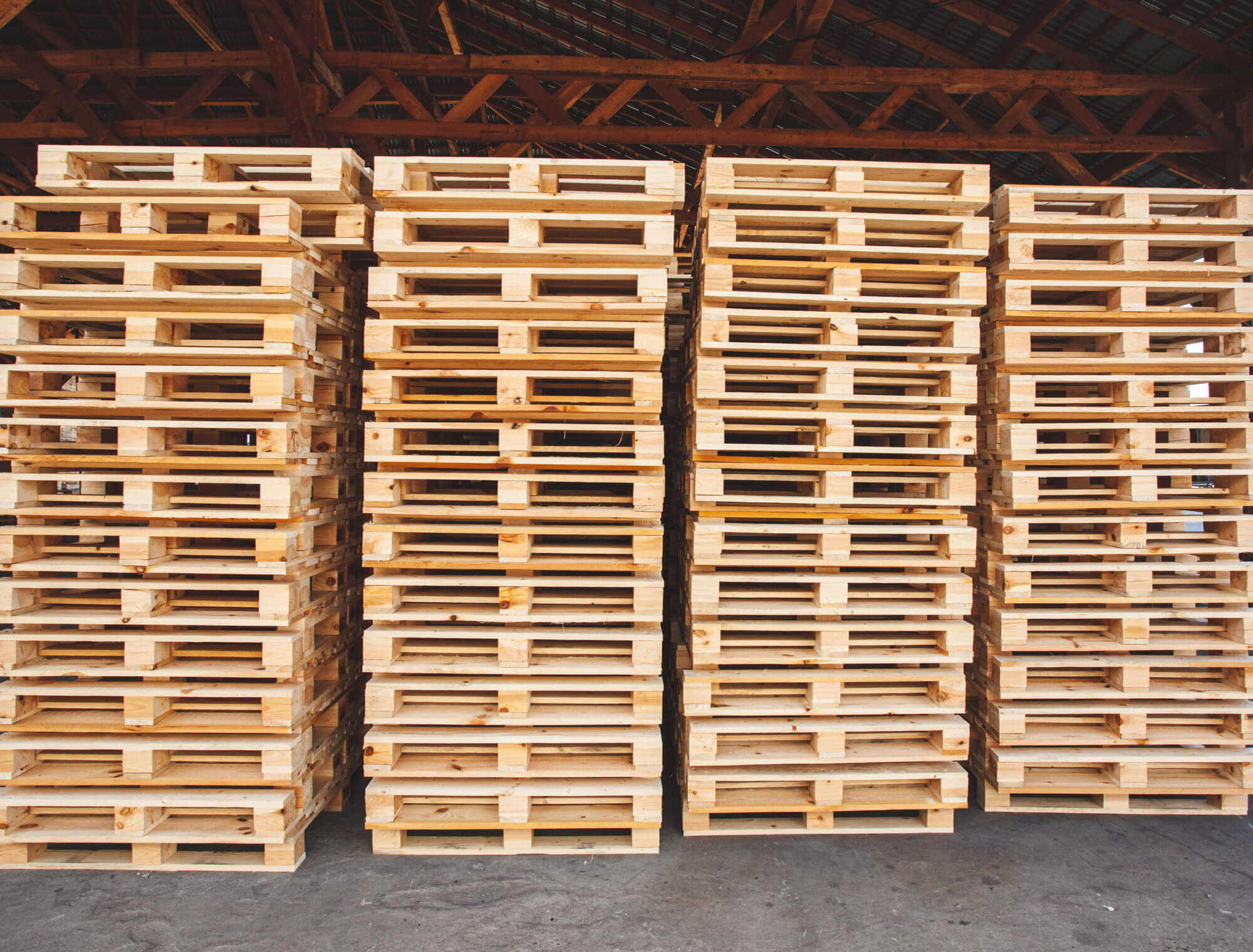 PM Recycling automated pallet sorting facility